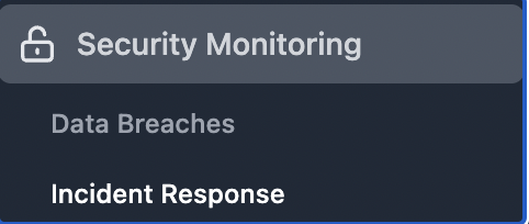 incident response